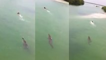 Un homme se fait poursuivre par un énorme crocodile au Mexique