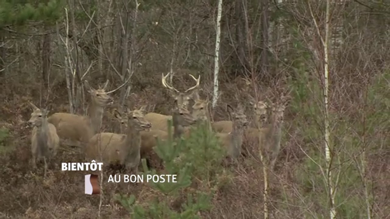 Au bon poste