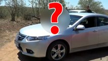 Voilà pourquoi vous ne devez jamais laisser votre voiture ouverte pendant un safari