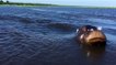 Quand un hippopotame prend en chasse un bateau de touristes au Botswana