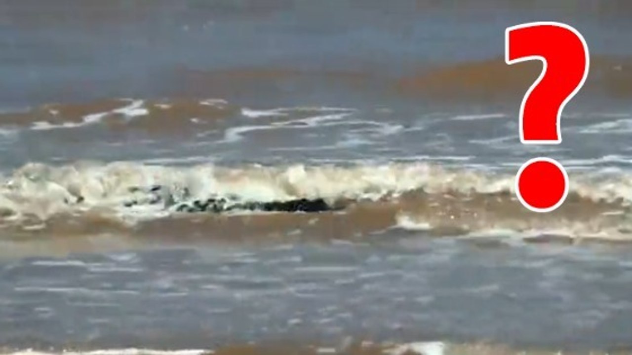 Une famille fait une effrayante rencontre en pleine partie de pêche