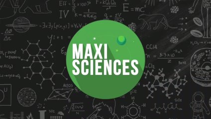 Corée : Ce restaurant réserve une grosse surprise à ses clients célibataires