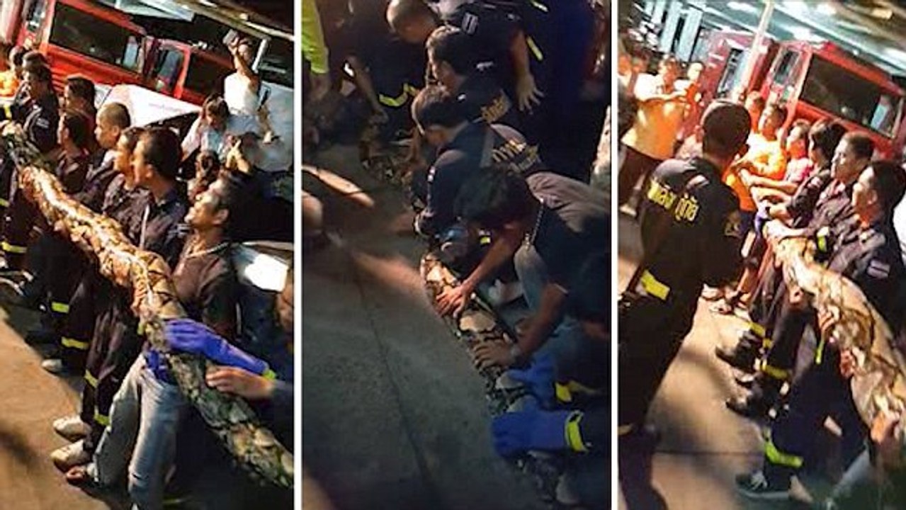 Des employés font une effrayante découverte derrière un restaurant thaïlandais