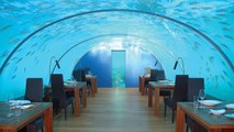 L'Ithaa Undersea Restaurant propose de manger sous l'eau