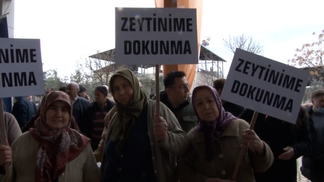 Soyer’den zeytinlik düzenlemesine tepki: Zeytin ağaçlarının yok edilmesi asla kabul edilemez
