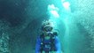 Un plongeur se retrouve nez-à-nez avec un énorme banc de poissons aux îles Caïman