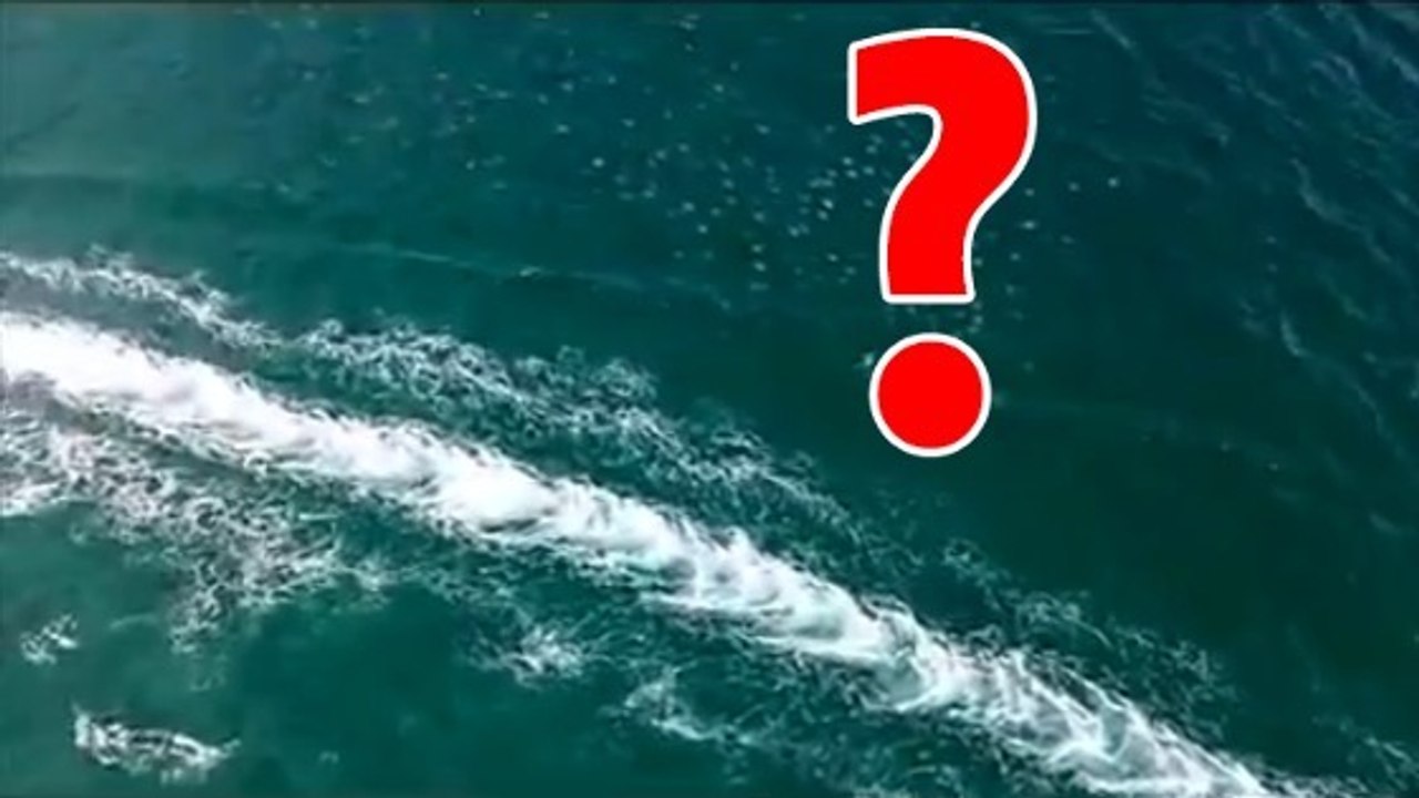 Faire du parachute ascensionnel en Floride peut vous réserver quelques surprises