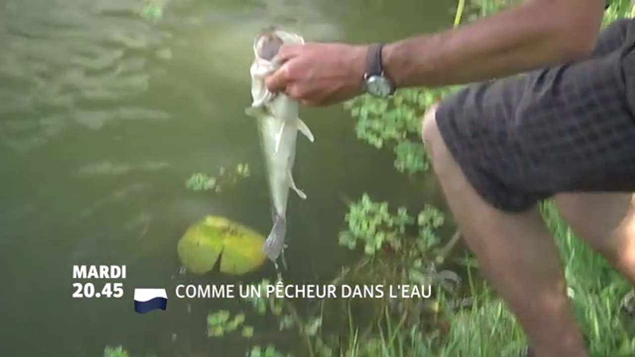 Comme un pêcheur dans l'eau