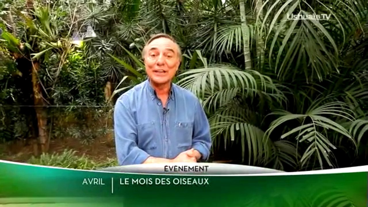 Le Mois des oiseaux - avril 2016