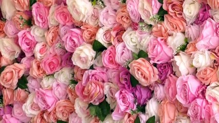 Eco : Lauréats de mon centre-ville a un incroyable commerce, épisode 3/3 - 10 Mars 2022