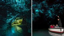 Waitomo : une grotte luminescente en Nouvelle-Zélande, un véritable ciel étoilé...sous terre !
