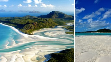 Whitehaven Beach : se détendre sur la plus belle plage du monde en Australie
