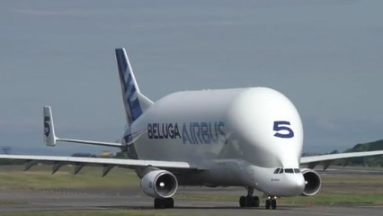 Voici le décollage impressionnant d'un Airbus Beluga !