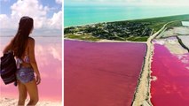 Las Coloradas : un lagon rose en plein coeur du Yucatan au Mexique