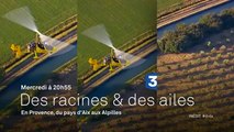 Des racines et des ailes - Provence, du pays d'Aix aux Alpilles - 13 04 16