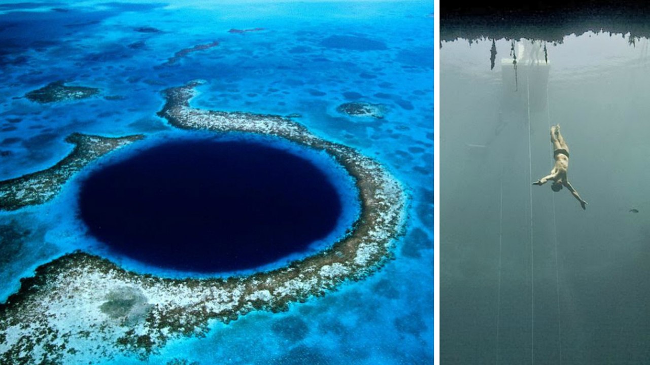 Bahamas : plongez dans le trou bleu de Dean, le plus profond du monde