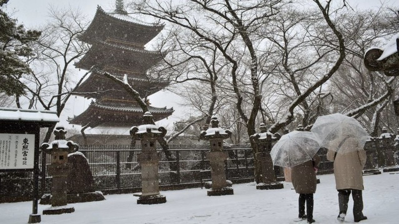 Pour la première fois depuis 54 ans, de la neige tombe à Tokyo en plein mois de novembre
