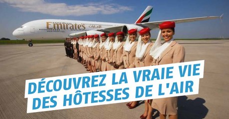 Découvrez la vraie vie des hôtesses de l'air