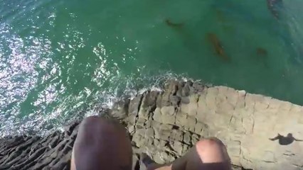 Etats-Unis : Il saute d'une célèbre falaise et frôle la mort !