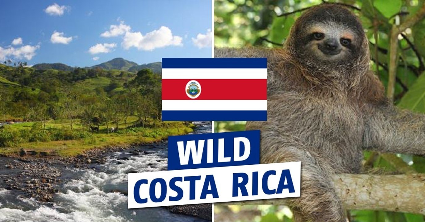Costa Rica : à la découverte du côté sauvage du pays