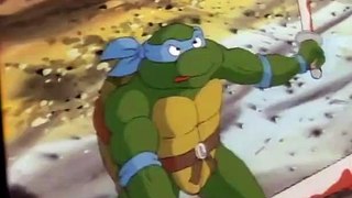 Teenage Mutant Ninja Turtles S04 E54