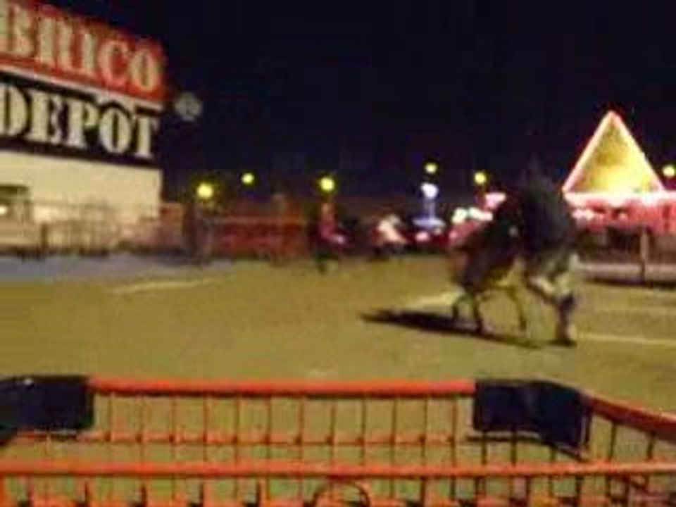 Course de caddies LPSIL (1/3)