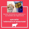 Devenir technicien.ne supérieur.e du ministère de l'Agriculture - spécialité 