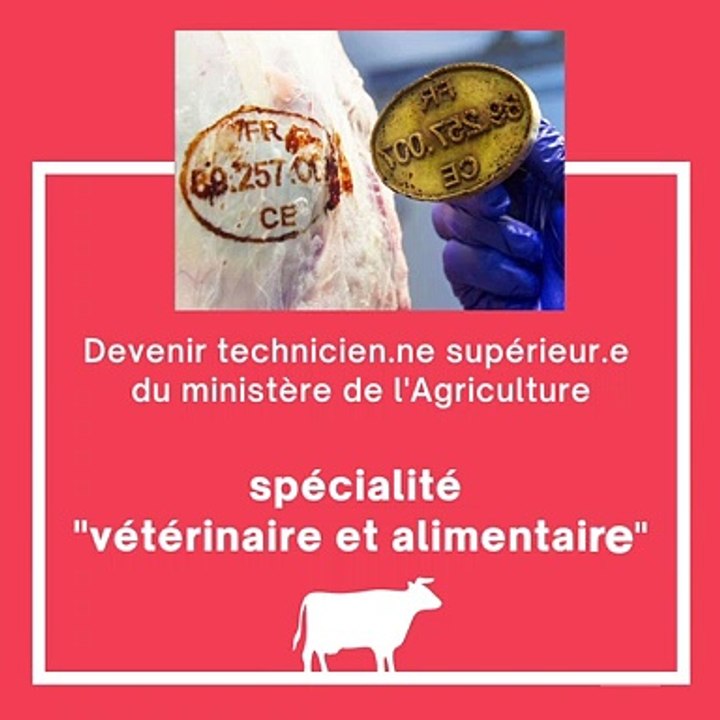 Devenir technicien.ne supérieur.e du ministère de l'Agriculture - spécialité "vétérinaire et alimentaire"