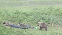 Russie : un petit ourson réveille deux voyageurs en pleine sieste (VIDEO)