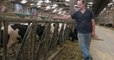Oise : un éleveur condamné à verser 102 000 euros à ses voisins dérangés par le bruit et l'odeur de ses vaches