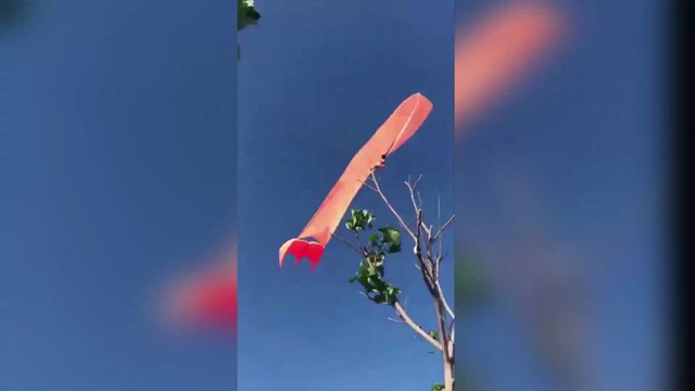 Taïwan : Les images spectaculaires d'une fillette emportée par un cerf-volant à plus de 30m au dessus du sol