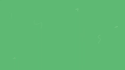 Australie : Elle découvre des centaines d'araignées dans la chambre de sa fille (Vidéo)