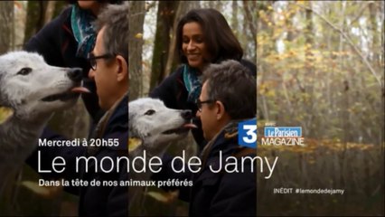 Le monde de Jamy - Dans la tête de nos animaux préférés