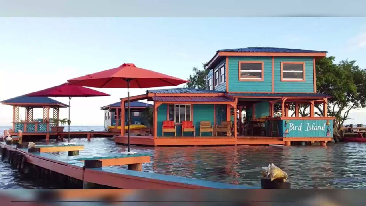 Insolite : vous pouvez désormais dormir dans la "maison ananas" de Bob l'Éponge