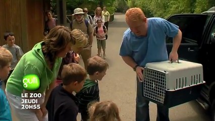 Le Zoo - Les bébés tigres de Sumatra -GULLI- 16 03 17