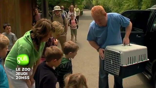 Le Zoo - Les bébés tigres de Sumatra -GULLI- 16 03 17