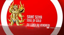 Saint Seya : Soul of god