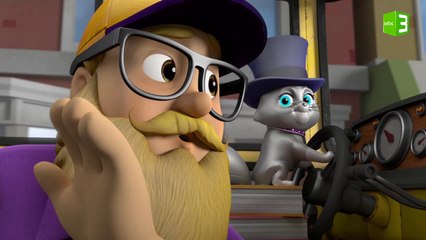 القط مياو مياو يقود حافلة السياح