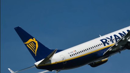 Coronavirus : elle refuse de mettre son masque dans l'avion et agresse une passagère (VIDÉO)