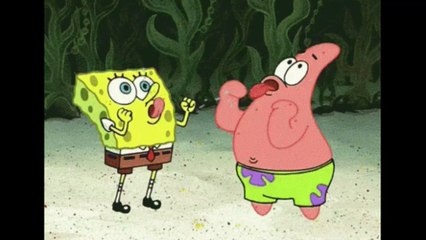 Insolite : un scientifique photographie Bob l’éponge et Patrick l’étoile de mer dans la vraie vie