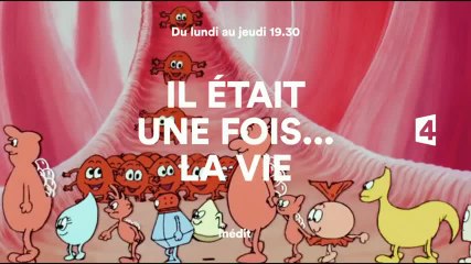 Il était une fois... la vie - France 4