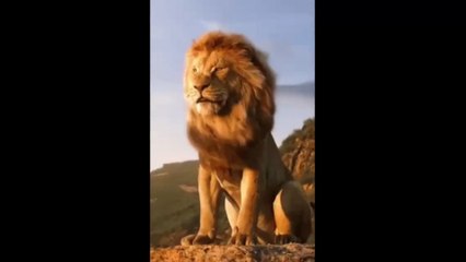 Tanzanie : Il filme un lion d'un peu trop près et le regrette instantanément (Vidéo)