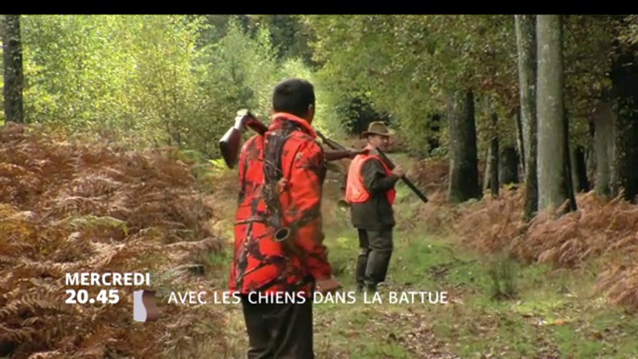 Avec les chiens dans la battue