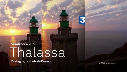 Thalassa - La Bretagne : le choix de l'Armor - 18/03/16