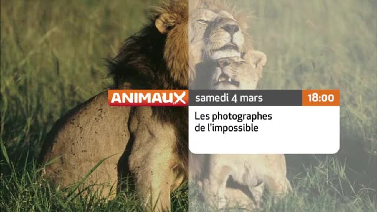 Les Photographes de l'impossible - 06/03/17