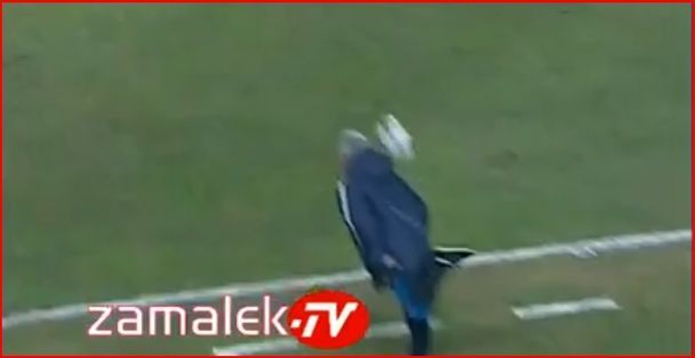 Egypte: Le coup du scorpion de Hassan Shehata