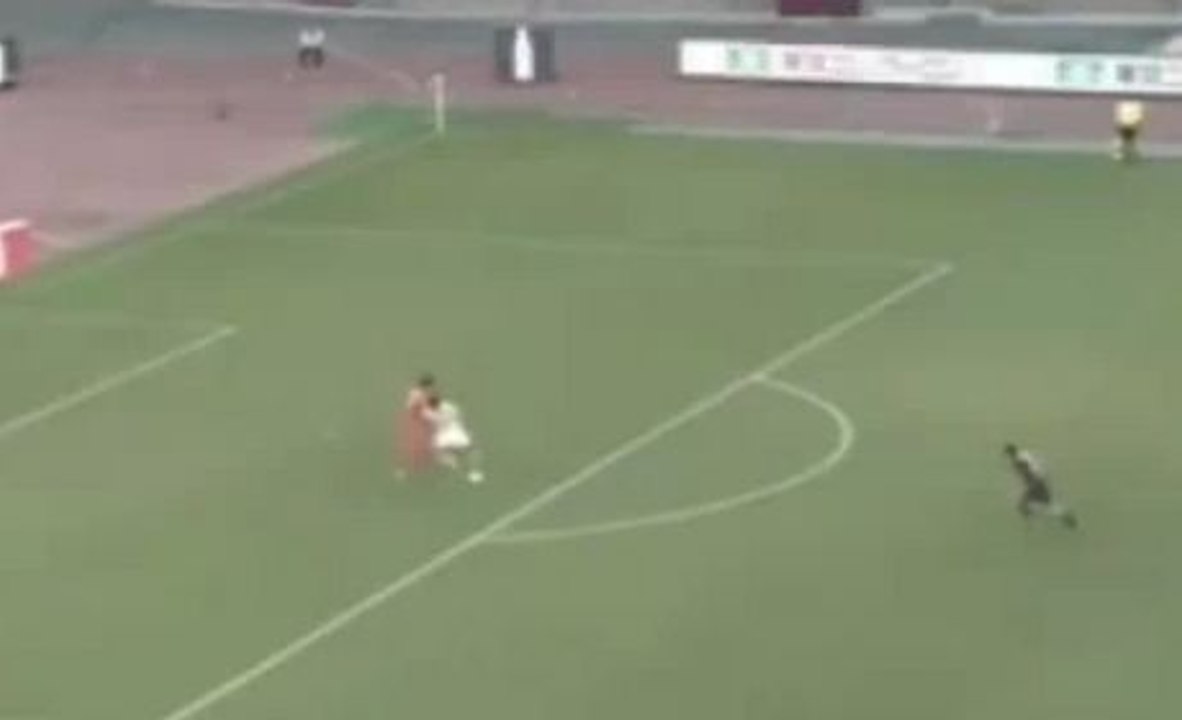 Un but de renard des surfaces signé Yuzo Tashiro