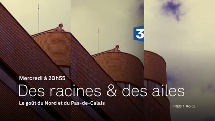 Download Video: Des Racines et des ailes - Passion patrimoine : le goût du Nord et du Pas de Calais - 23/03/16