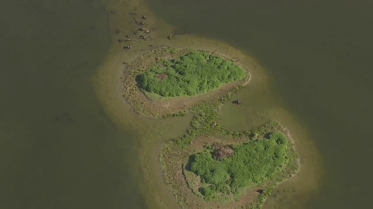 Les Trésors naturels du Pas de Calais - VF