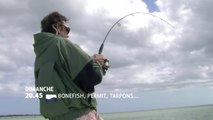 Tarpon, bonefish, permit...